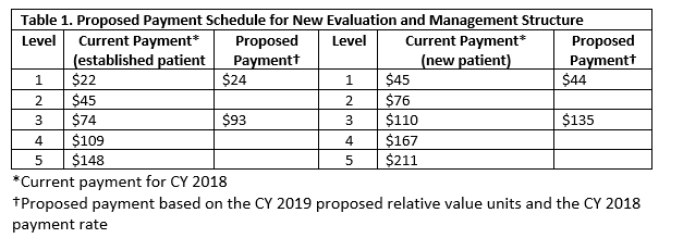 Cpt Code For Established Patient Office Visit Level 1 - Office Views