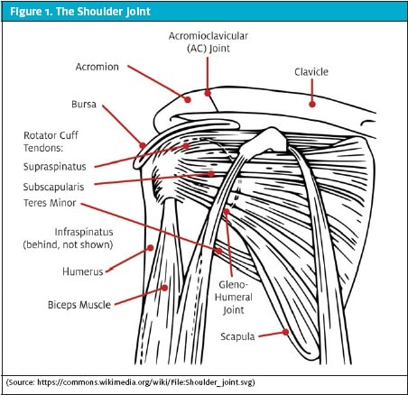 Joint and Soft Tissue Injection