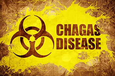 Be Alert for Chagas Infections—300,000 Americans Already Have It