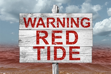 Be Prepared: There’s No End in Sight for the Toxic Tide Sickening Floridians
