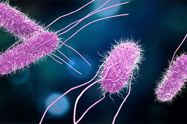 Drug-Resistant Salmonella Infection Spreads to 29 States