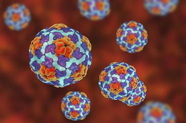 Evolving Hep A Transmissions Could Spur More Vaccinations. Why Not in Urgent Care?