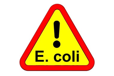 E Coli Outbreak Spreads to Five States