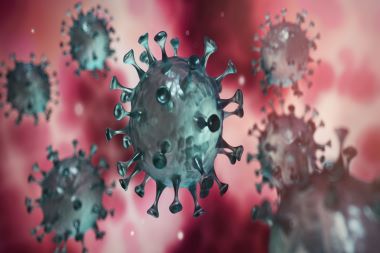 Update: WHO Gives Coronavirus an Official Moniker—and You’ll Want to Use It if Needed