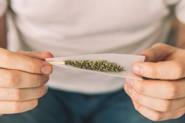 Daily Cannabis Users Outnumber Daily Alcohol Drinkers