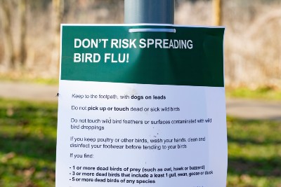 Patient With Severe Case of Bird Flu Dies In Louisiana